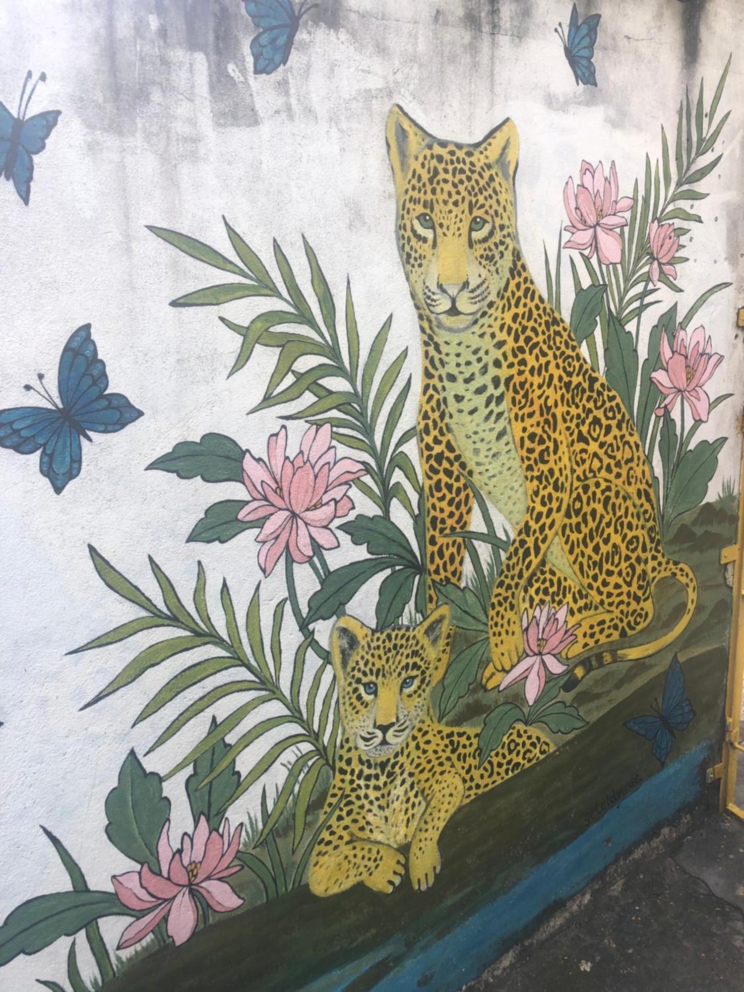 Onca Da Praia Hostel Vitória Exteriér fotografie